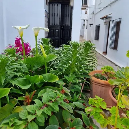 Casa Francisca En El Casco Antiguo *